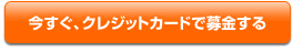 今すぐクレジットカードで募金する