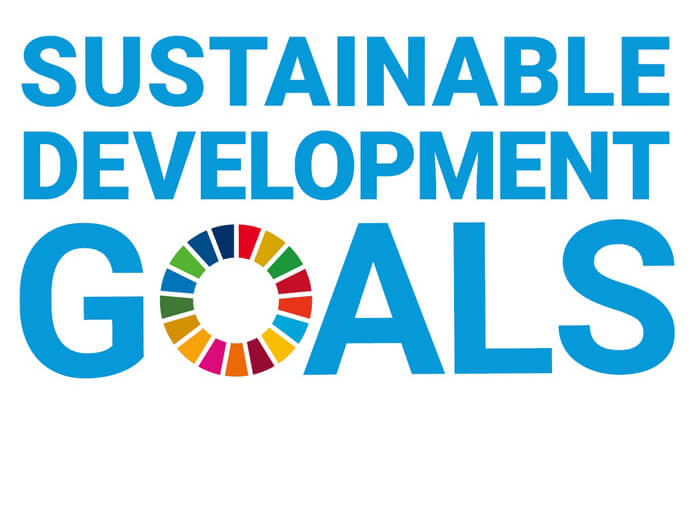 SDGs（持続可能な開発目標）とは